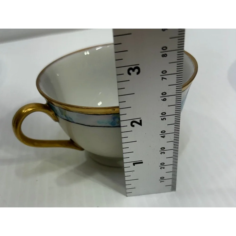 Bareuther Waldsassen Thomas Bavaria Forget Me Not Tea Cup Saucer Plate Set 3pc